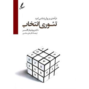 تئوری انتخاب